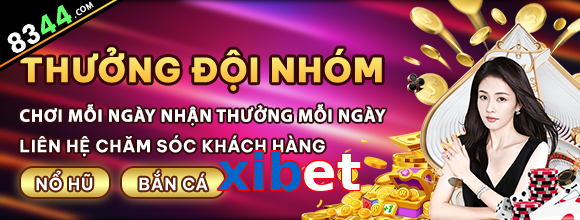 xibet